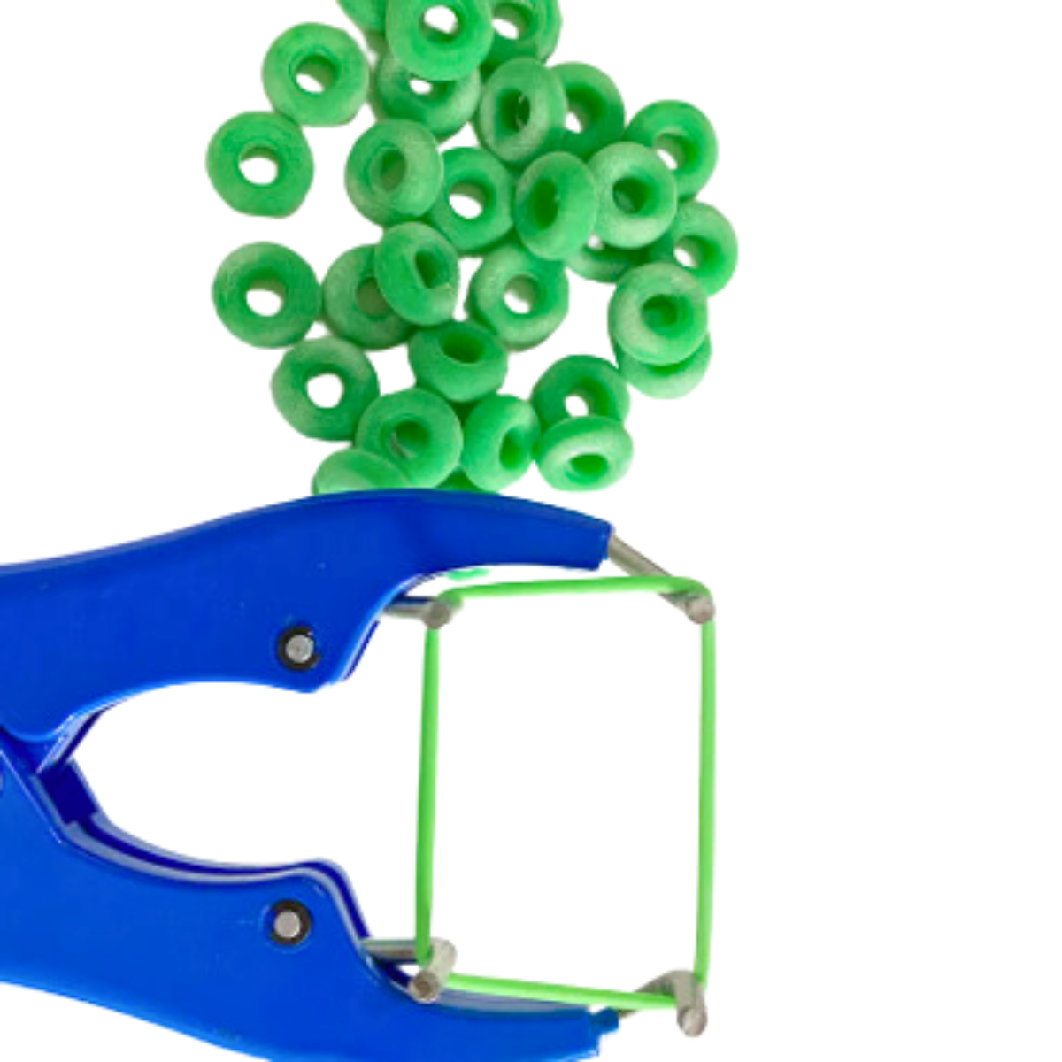 Gomas Anillos para Castrar Descolar Corderos Ganader