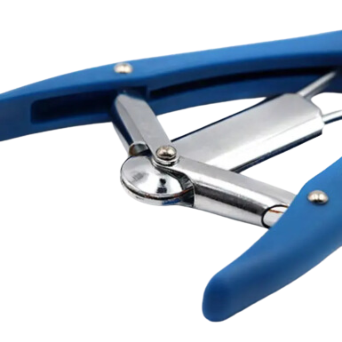 Set de Castración y Descole de Corderos Plástico