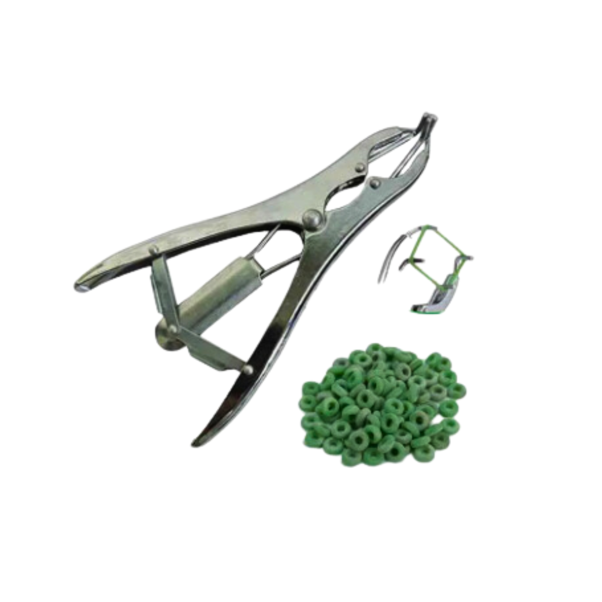 Pinza para Castrar Corderos Ganader Acero Inoxidable