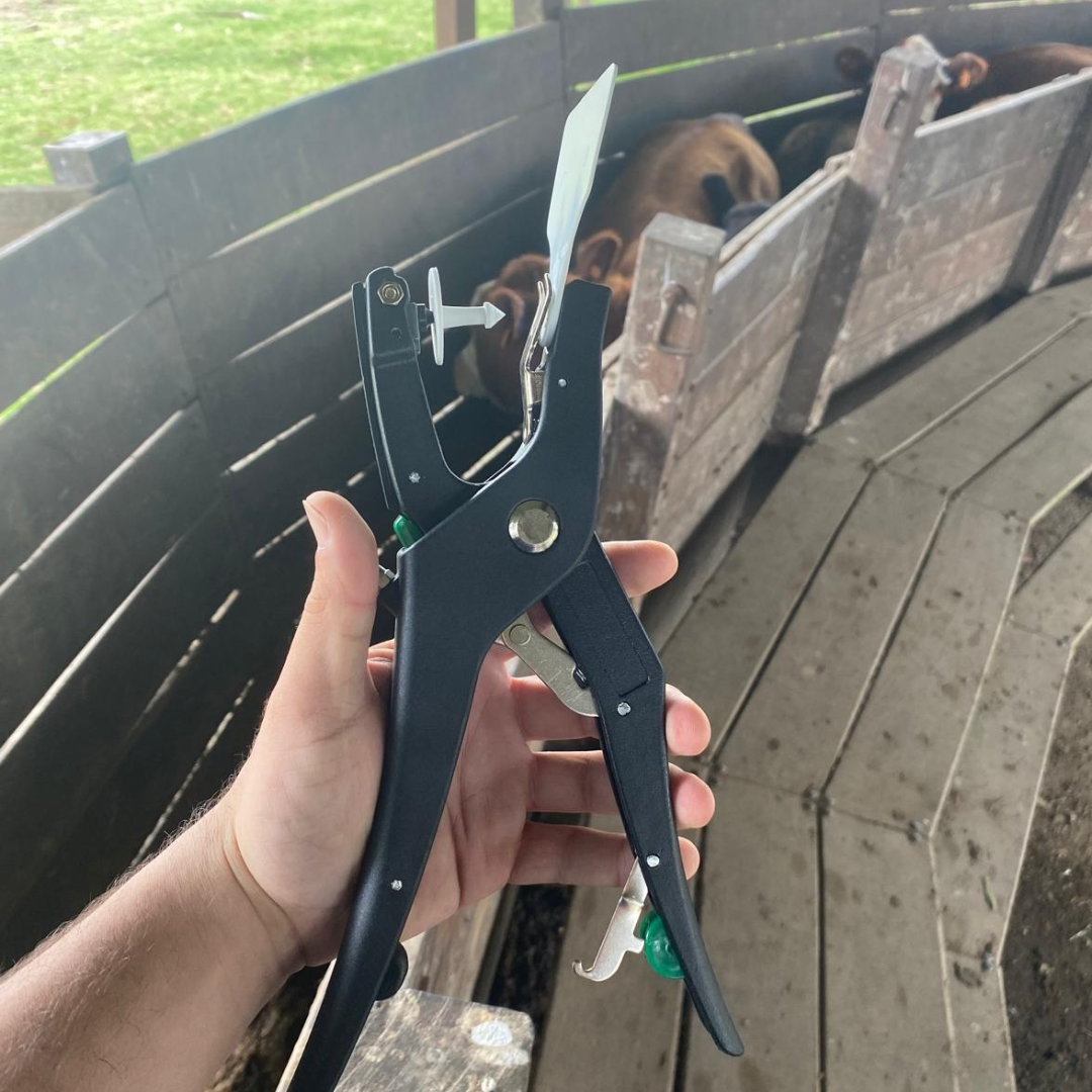 Pinza Flex para Caravanas GANADER®