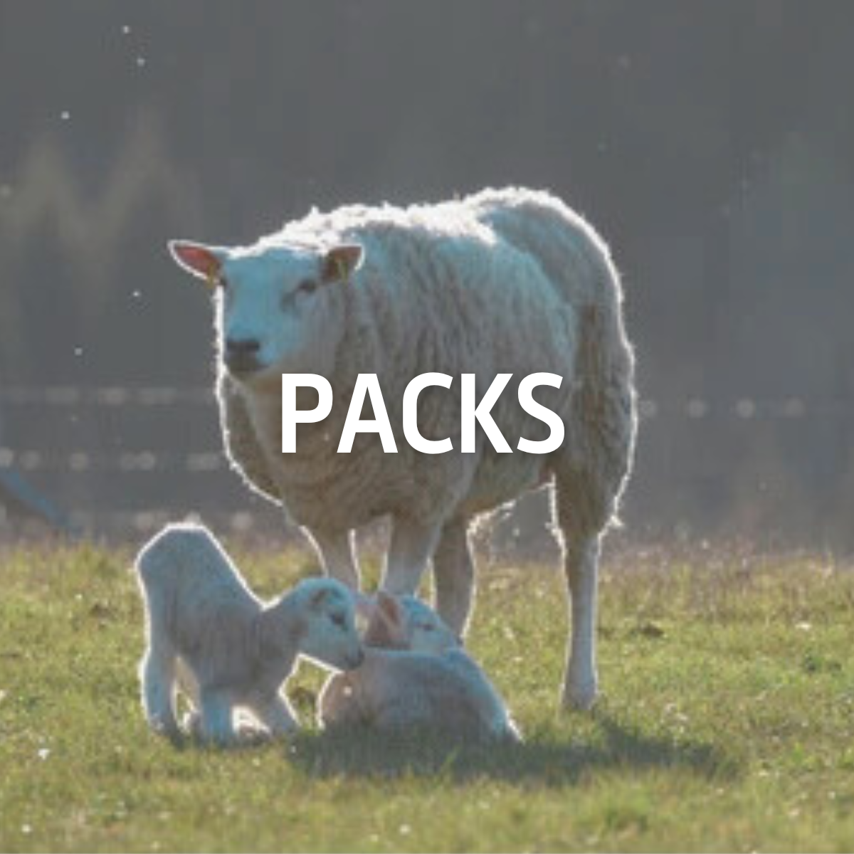 Packs