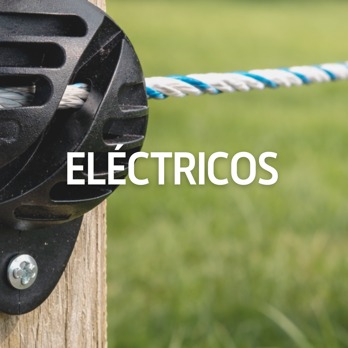 Eléctricos