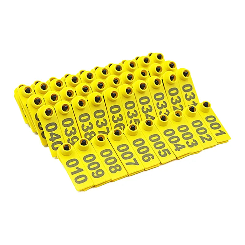 MESS Final Notice Illegal Parking Stickers - 100/Pack - Green - 8x5 In - Foto 11