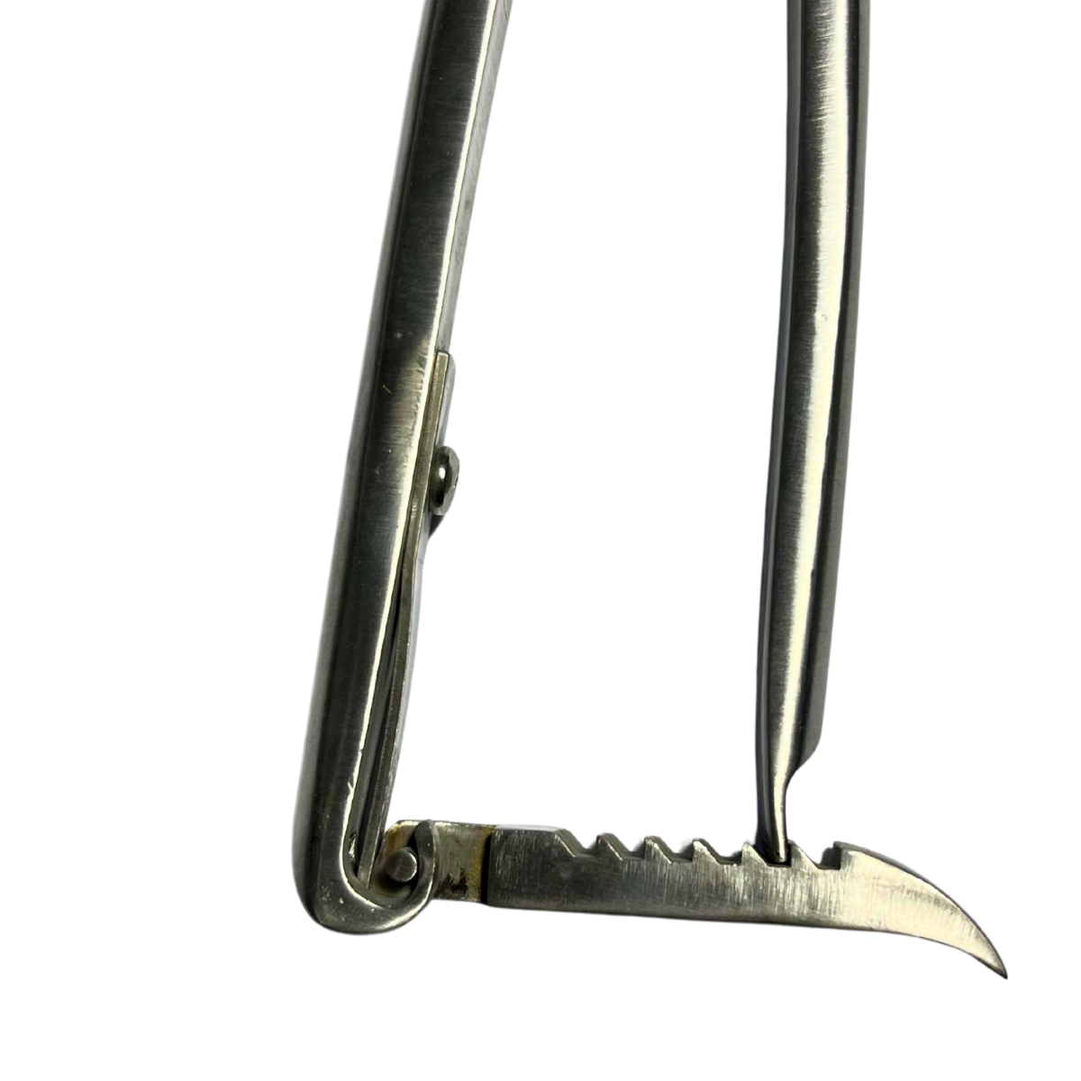 Emasculador GANADER® para Castrar Caballos