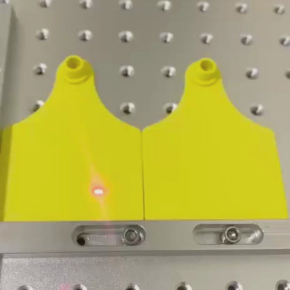 Caravanas GANADER® Premium N°5 GRABADAS